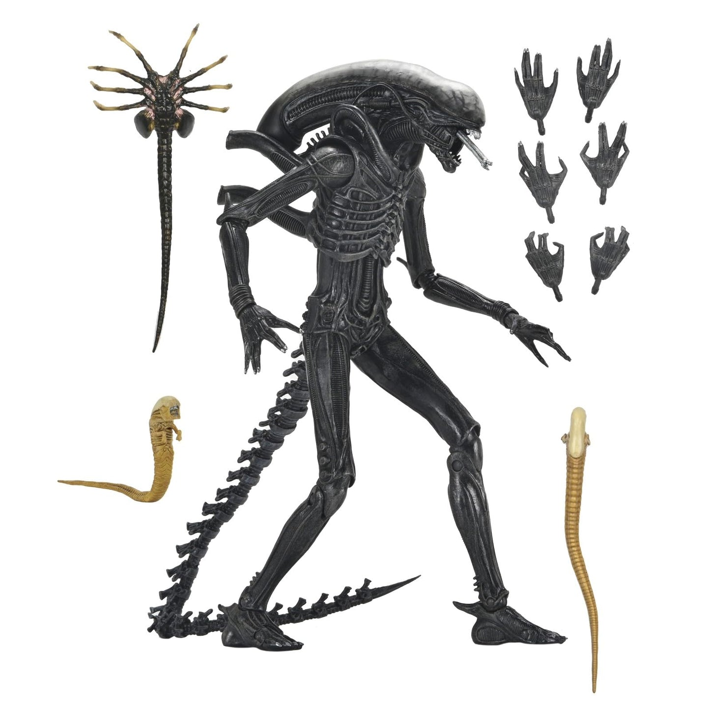 Alien: Romulus - Ultimate Xenomorph XX121 7" Scale Action Figure