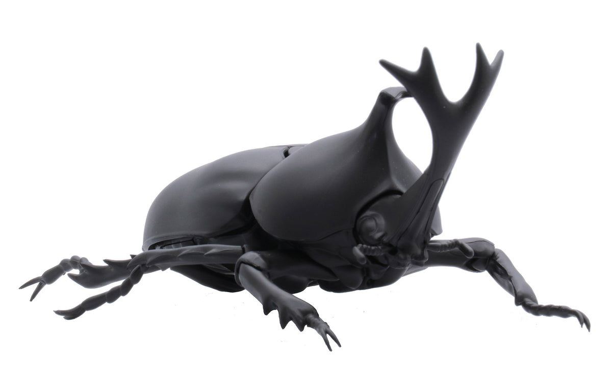 Free Research Series No.21 Ikimono Hen Beetle Plastic Model