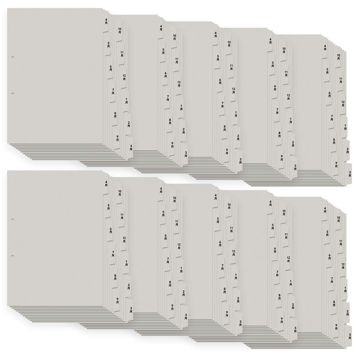 Plus FL-809IS/98-080 x 10 Nursing Care Index for User Cartes, 12 Months (Starting from April, 6 Threads x 2), Set of 10, Gray