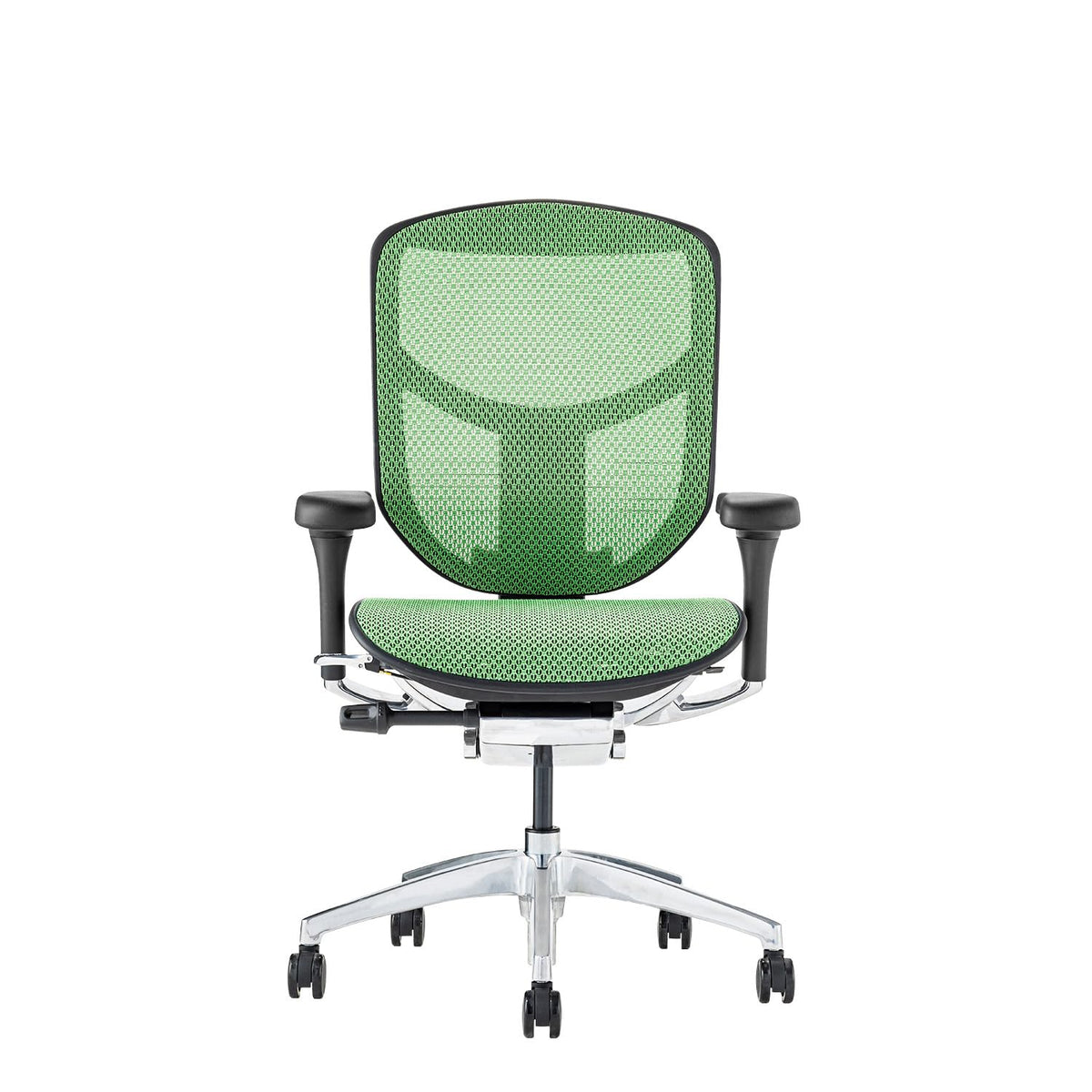 ergohuman 2 EJ2-LAM-BF-GN Office Chair Frame: Black, Mesh: Green, Enjoy, Low Type,