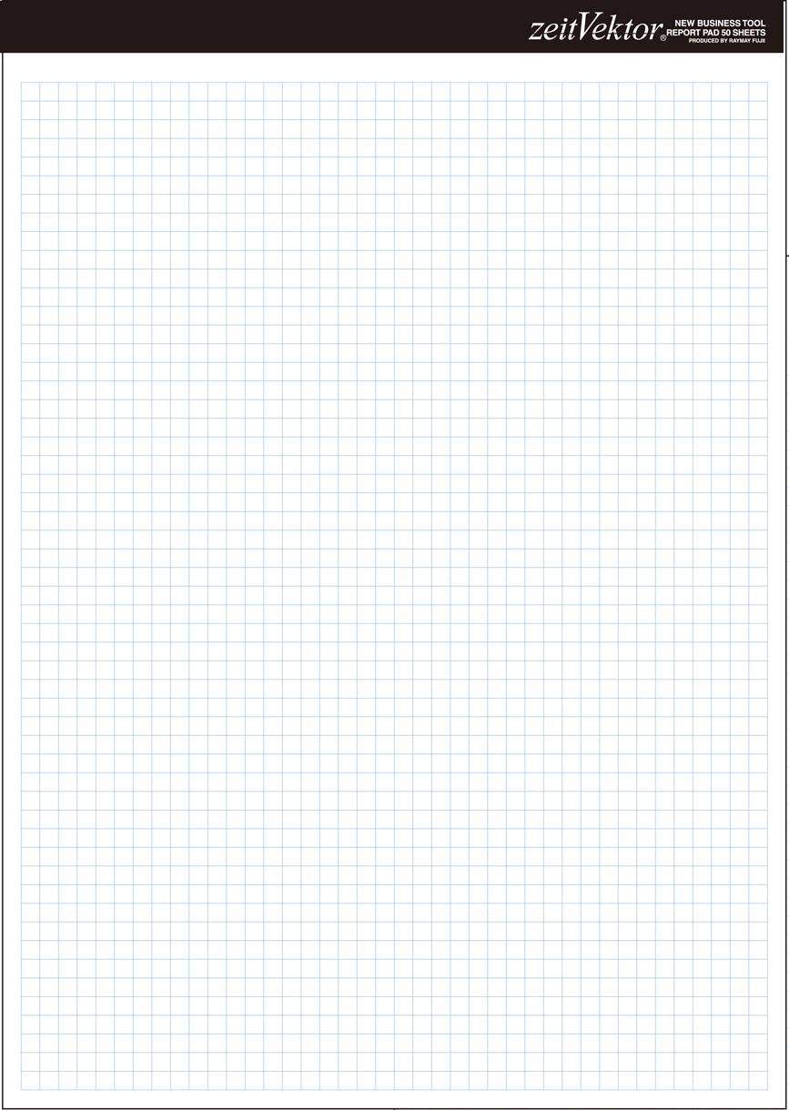 Raymay Fujii ZeitVektor A4 ZVP455 Report Paper, Double-Sided