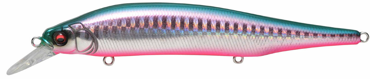 Megabass Minnow X-80 Magnum GG Bayside Green PB Lure