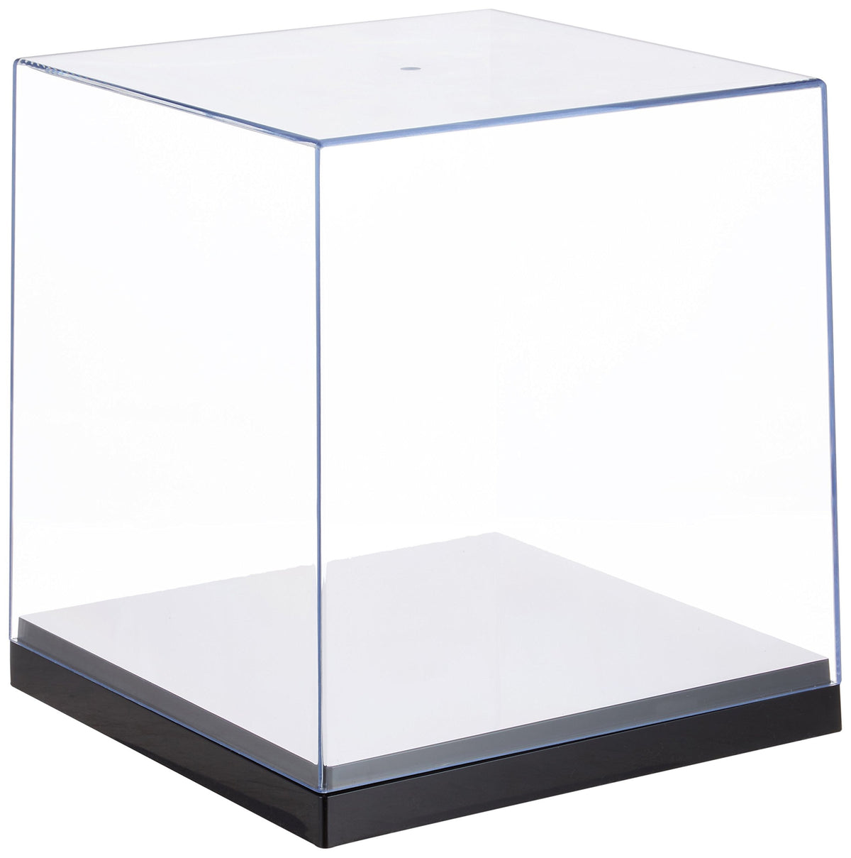 Chopla Kogyo 561246 Collection Case, Regular 24