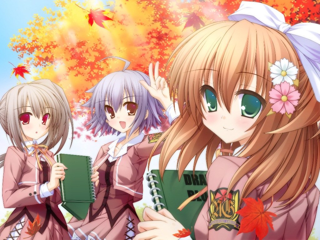 Eternal Etude: Canvas 4 [Limited Edition] [Japan Import]
