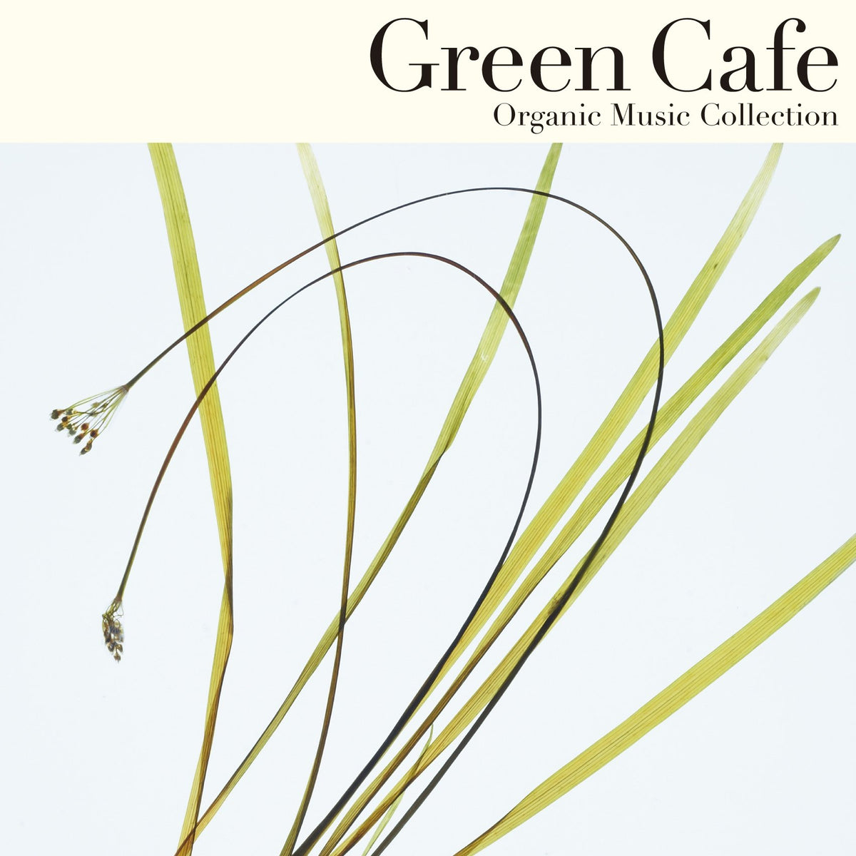 GREEN CAFE MUSIC-MORI KARA NO KAZE