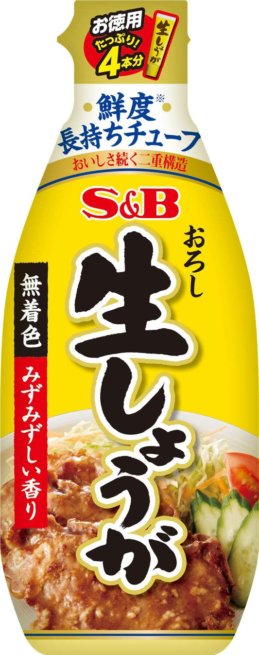 S & B value pack grated raw ginger 160g [Parallel import]