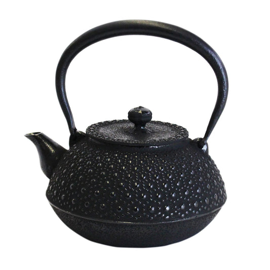 Asahi Tetsubin Flat Round Turtle Arare, 3.2 gal (1.2 L), Traditional Iwate Craft Nambu Ironware