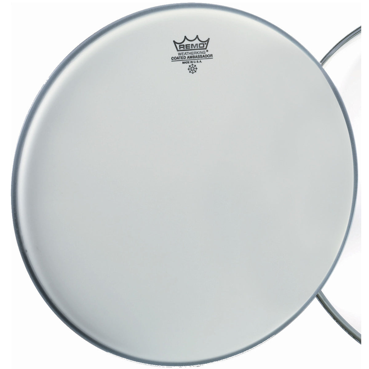 Remo Ambassador Coated Drum Head - 18 Inch
