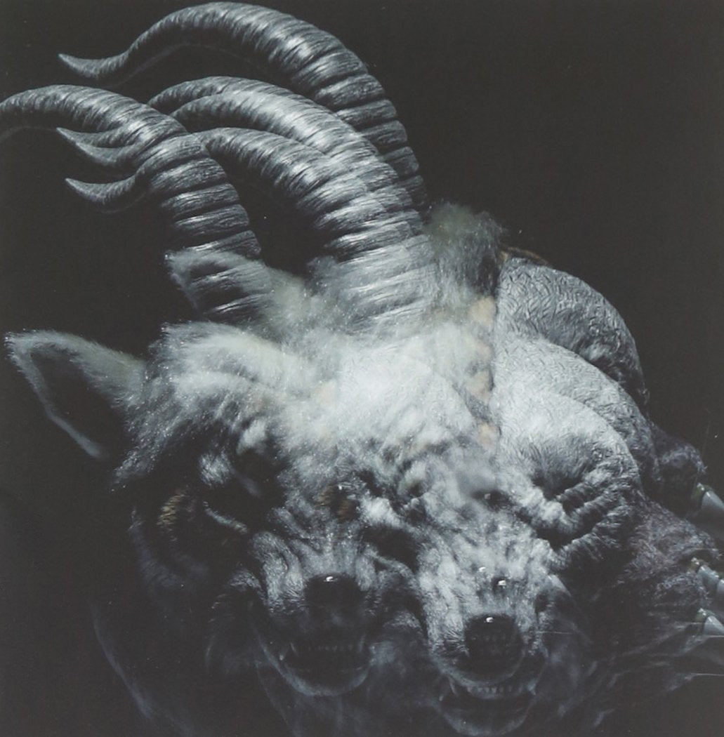 BEAUTIFUL DEFORMITY