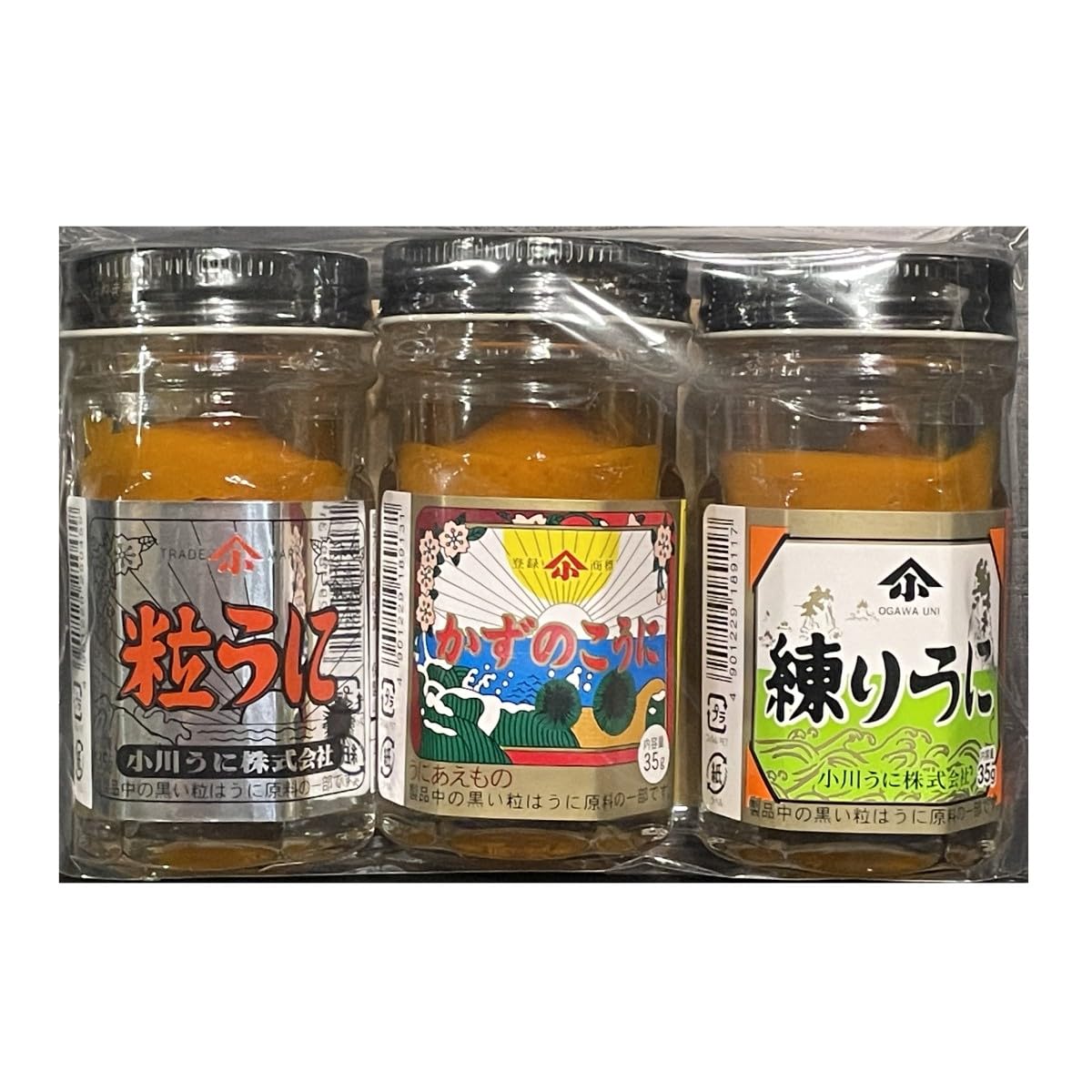 Sea urchin Set of 3