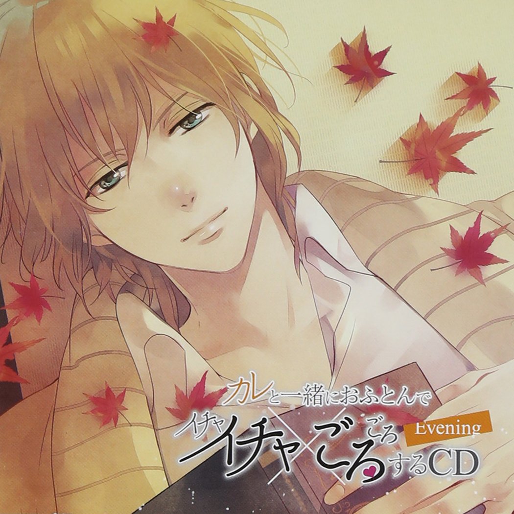 KARE TO ISSHO NI OFUTON DE ICHAICHA GOROGORO SURU CD -EVENING-