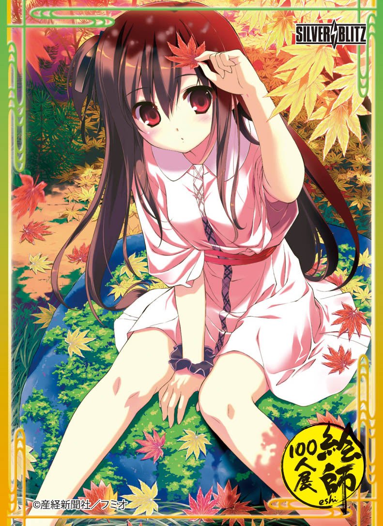 Broccoli Silver Blitz Special Card Sleeve 100 Painters Exhibition - Fumio