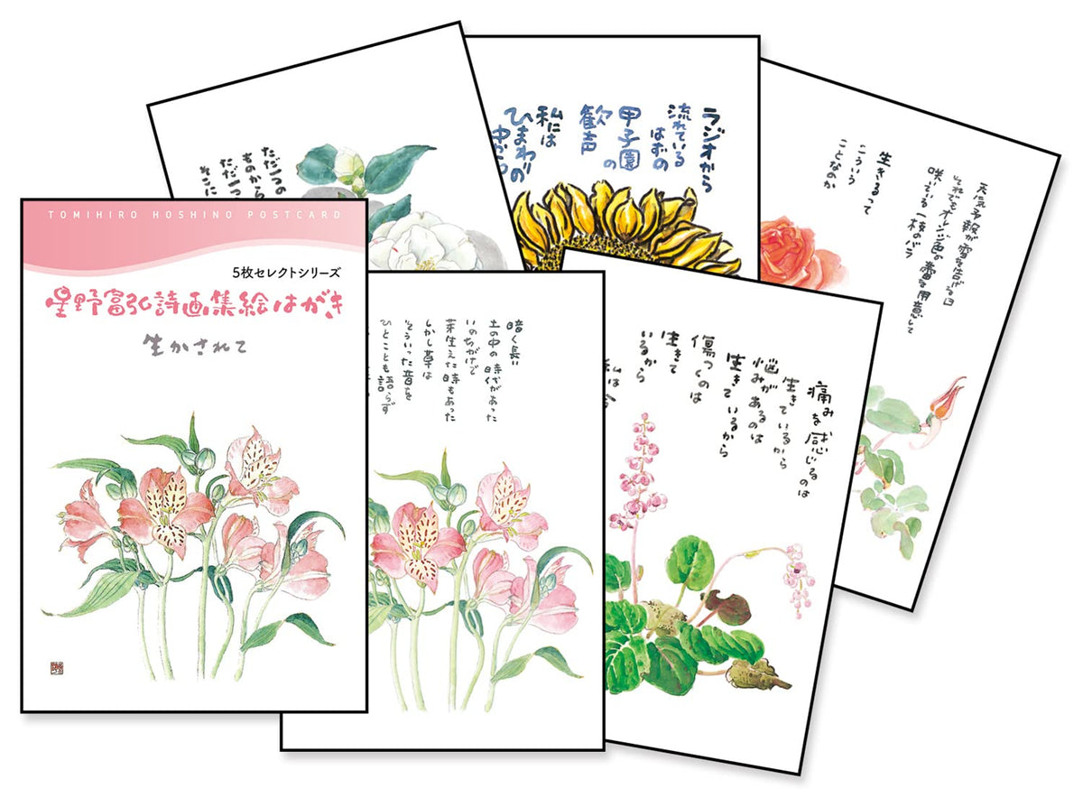 Tomihiro Hoshino Picture Postcard 5 Piece Select Series