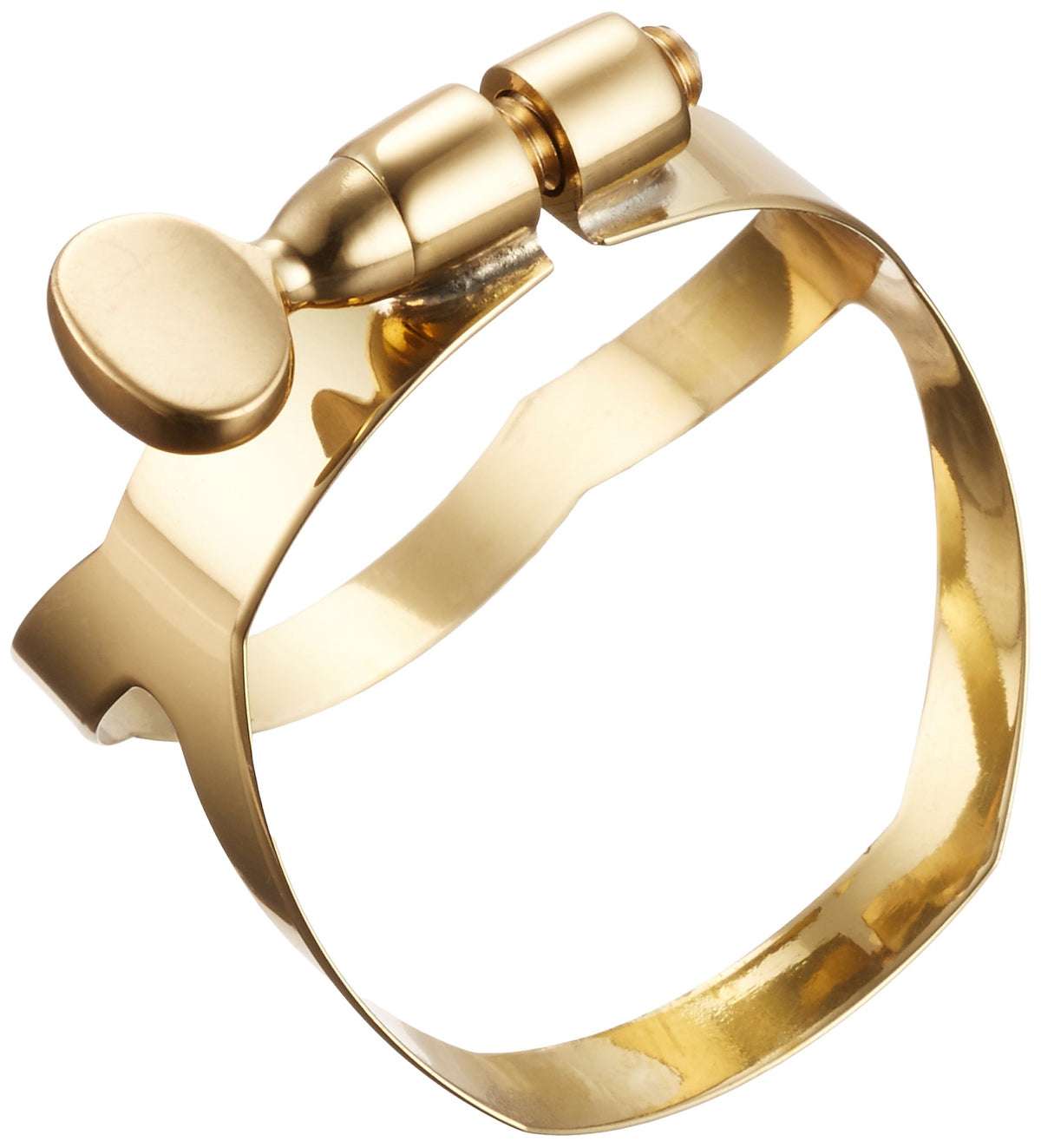 Selmer Paris Selmer Baritone Bath Saxophone Ligature Lacquer Finish