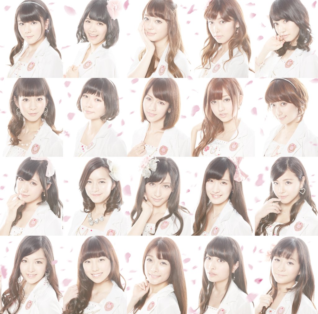 SAKURA THANK YOU(regular)