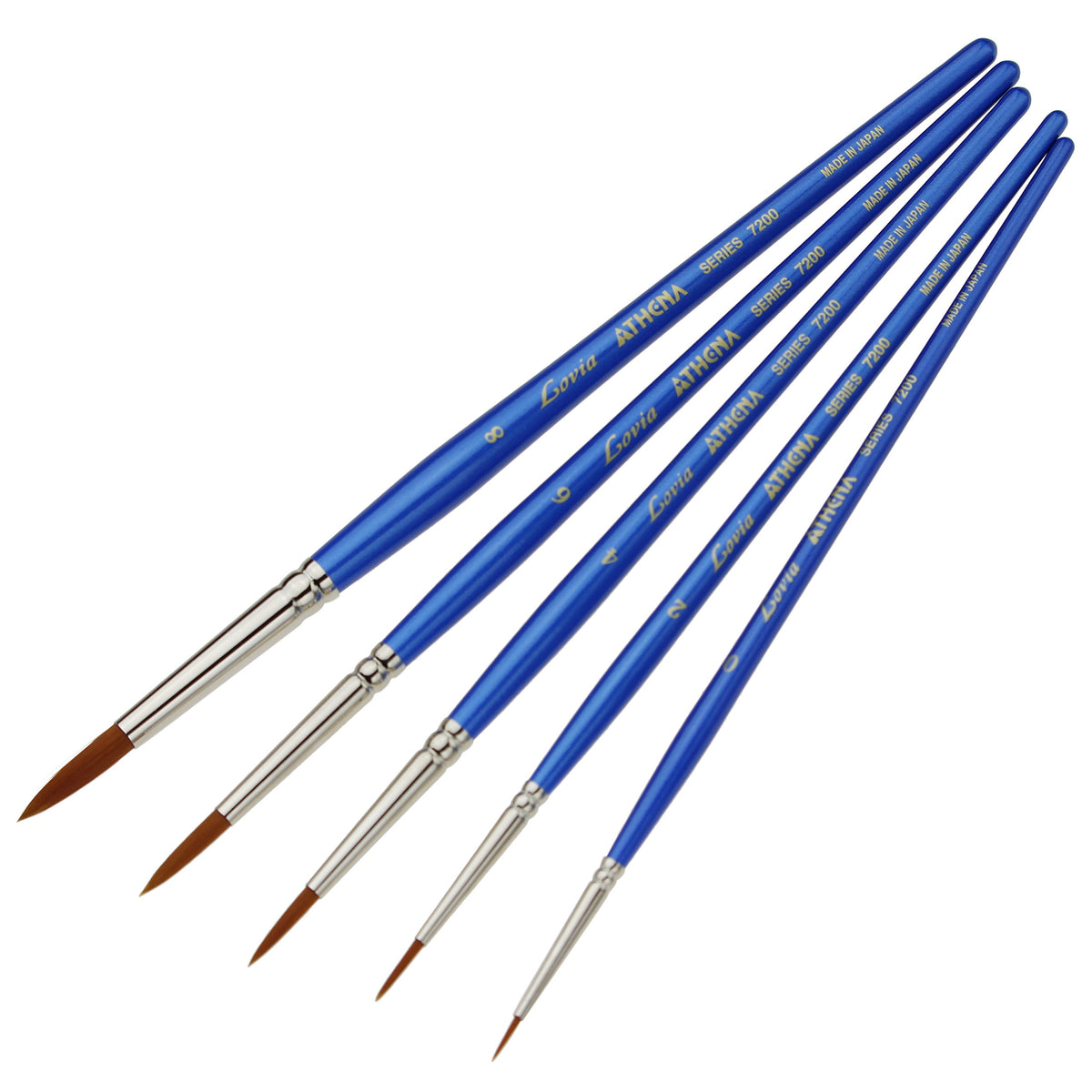 Give me a second, Guys raヴxia Brush Round Set of 5 10000343