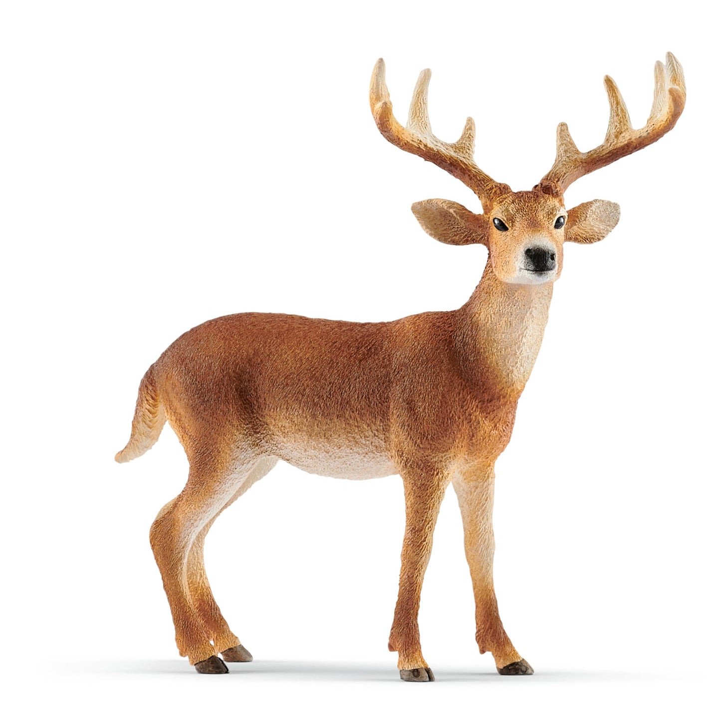 Schleich Wild Life - White-Tailed Buck Toy Figurine - Kids Ages 3+ | 14818