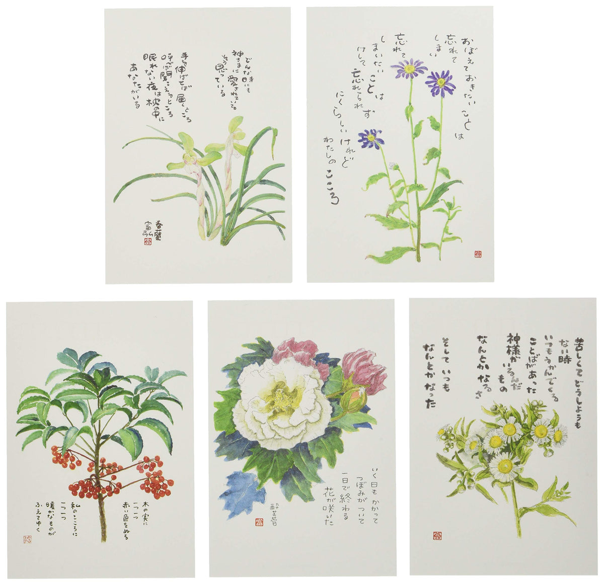 星野富弘 絵はがき 5枚セレクトシリーズ いつもあなたと No.1219