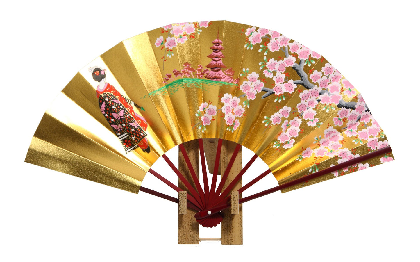 HASEGAWA Kyoto Folding Fan Treasuring Cherry Tree Apprentice Geisha with Marron Dyed Bone (with Stand)