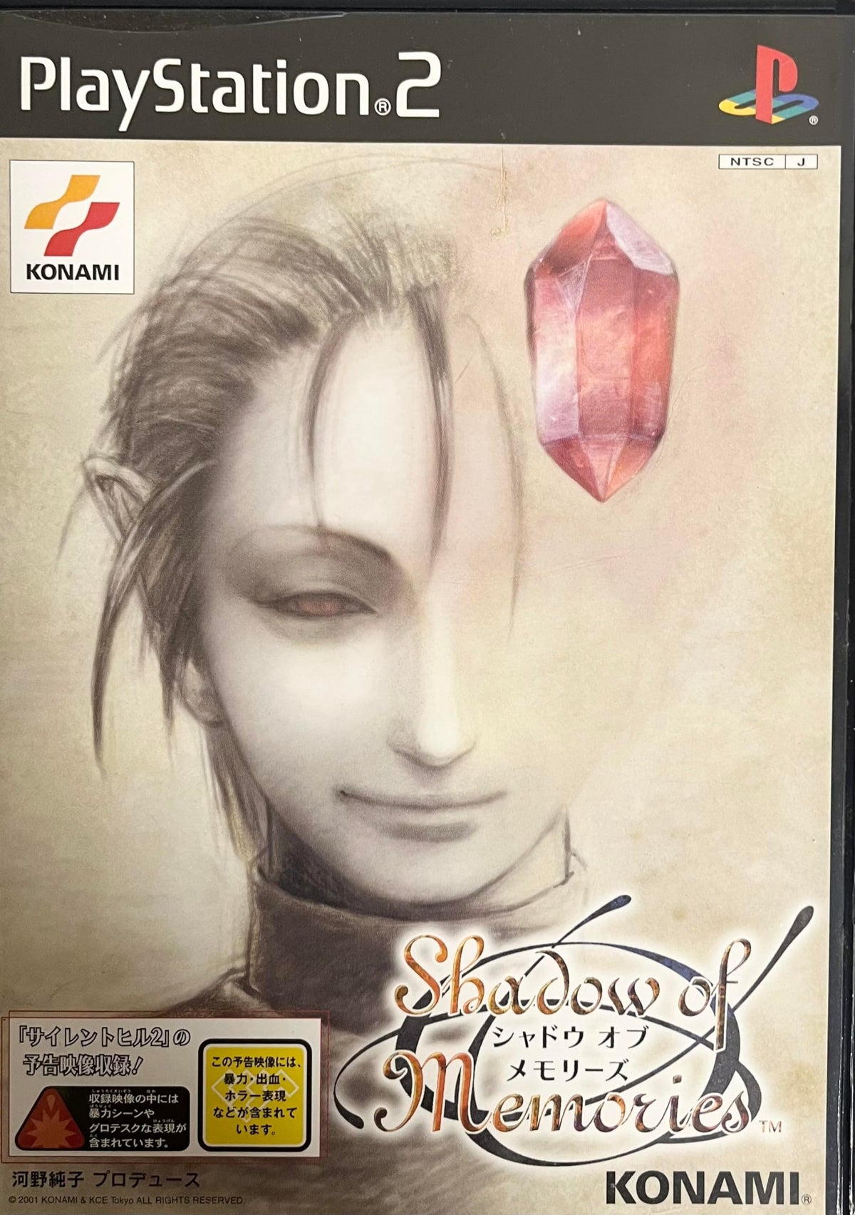 Shadow of Memories