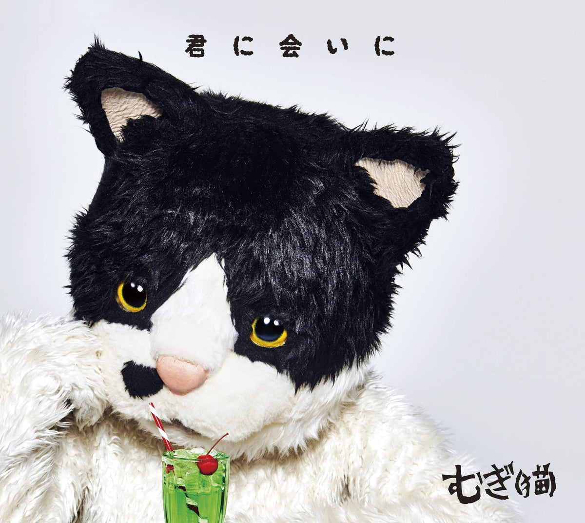 Kimi Ni Ai Ni (Cd/Dvd)