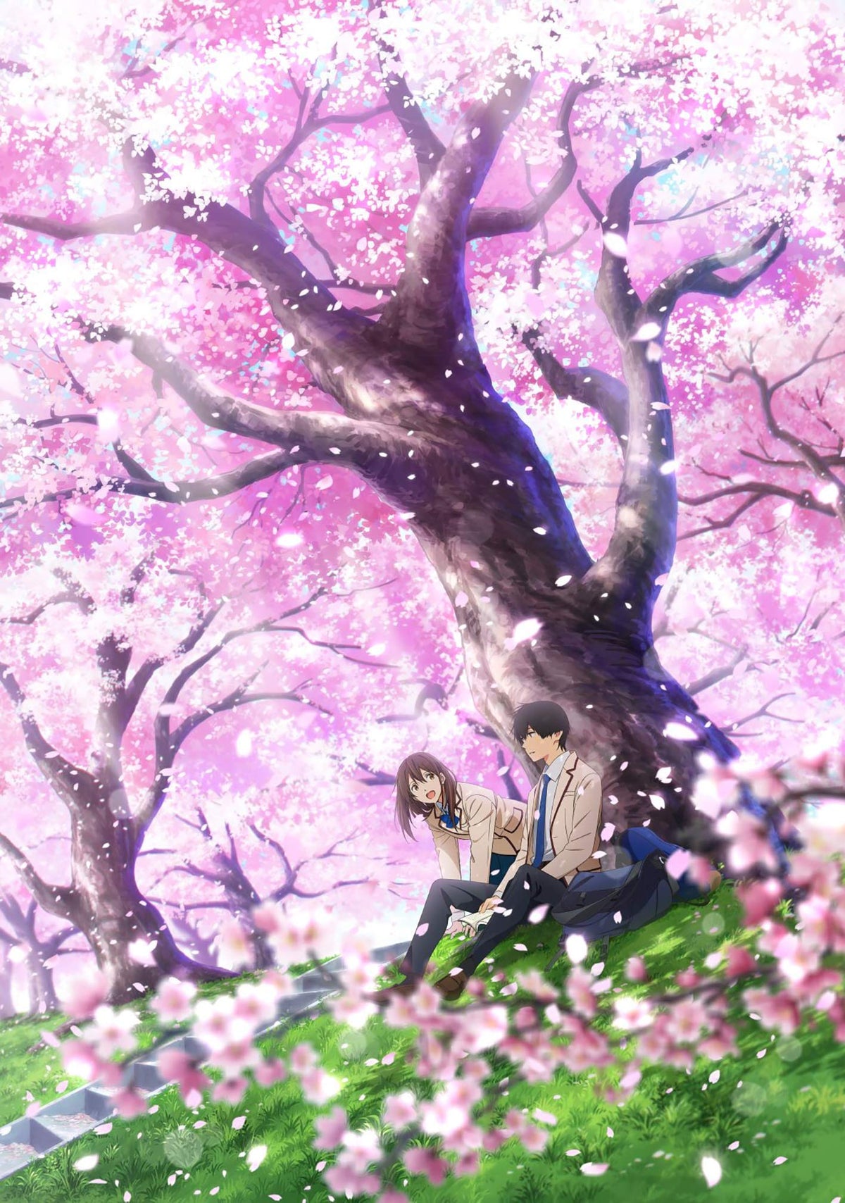 Theatrical animation "I want to eat your pancreas" (Limited Edition) [Blu-ray] JAPANESE EDITION