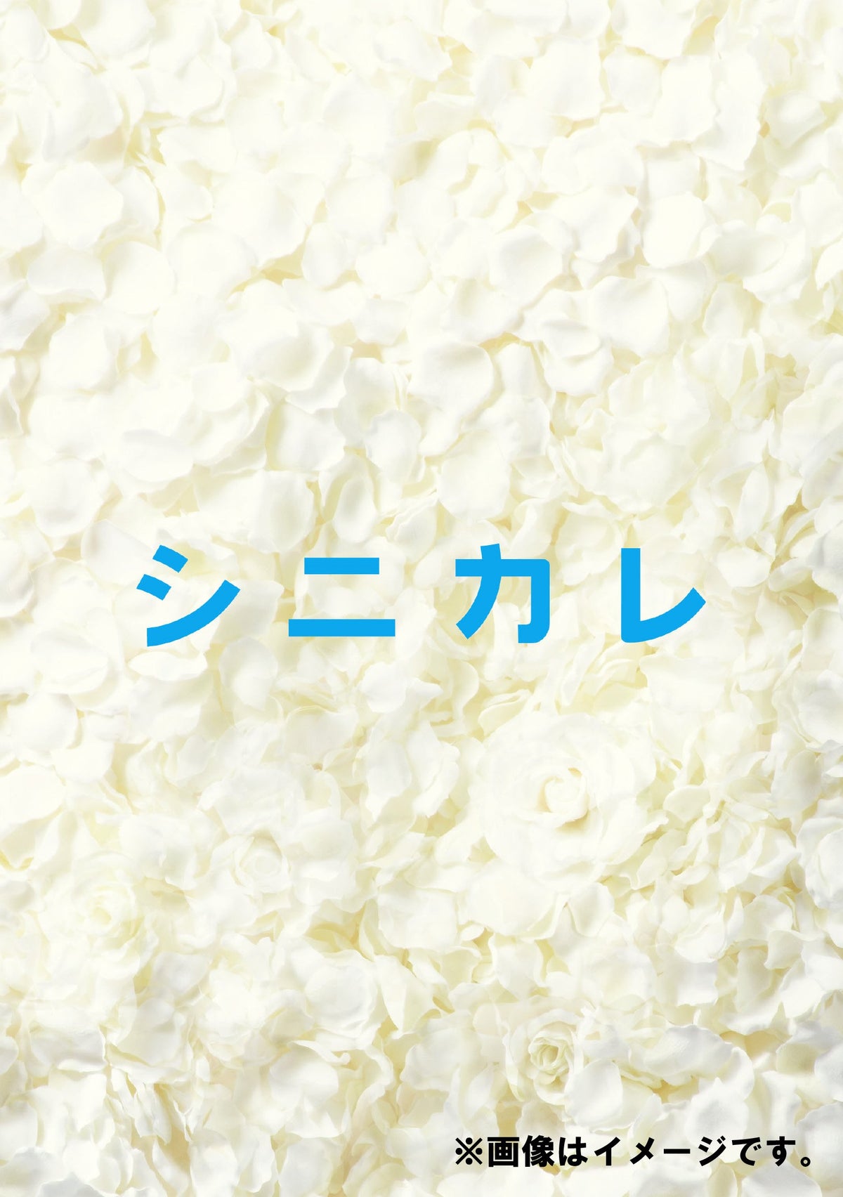 シニカレ完全版 ブルーレイBOX [Blu-ray]