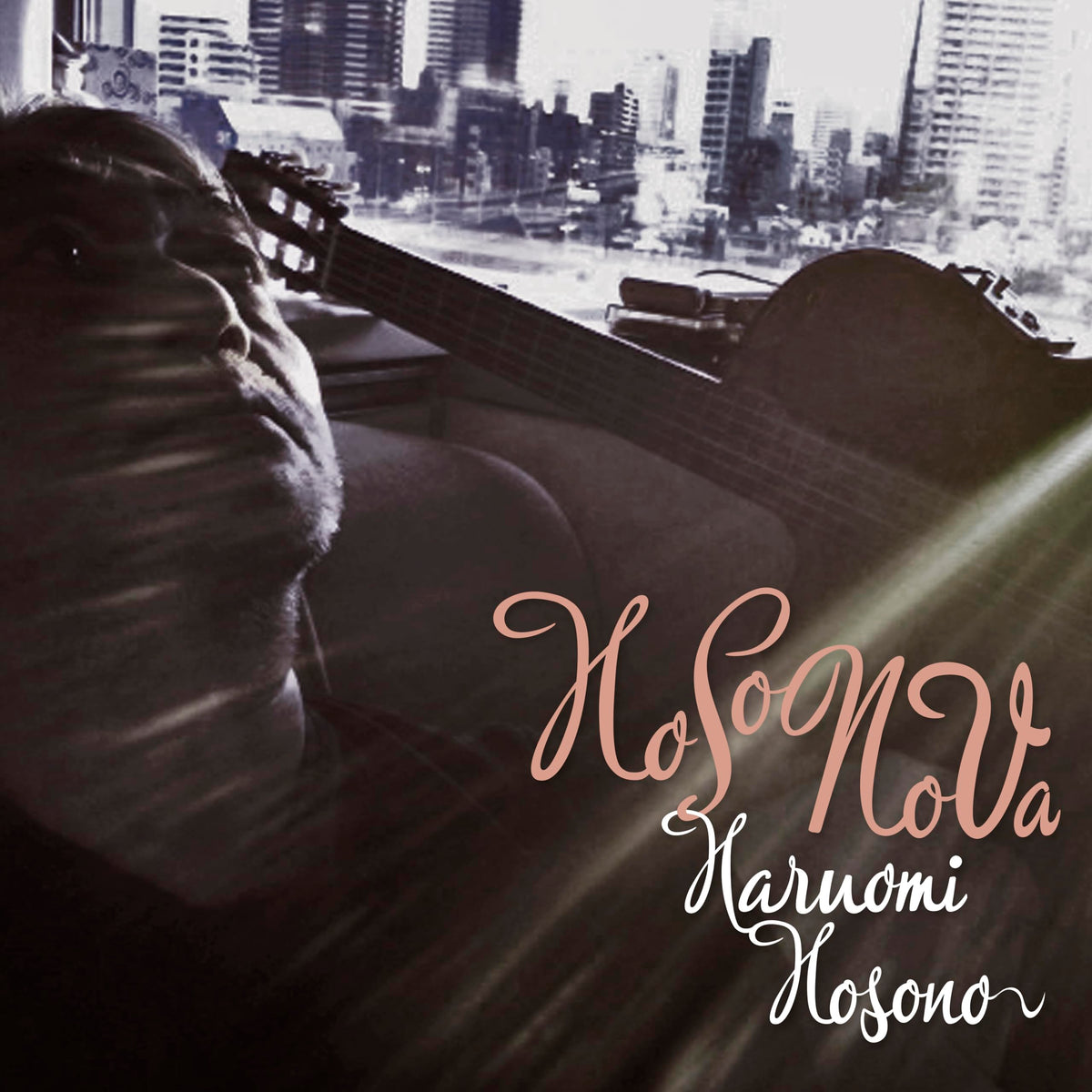 HoSoNoVa