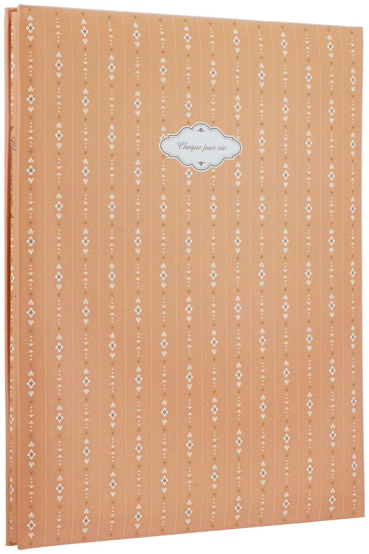FUJICOLOR album free F-10B (BK) glass apricot [black mount] 11-20 page red stripe 48964 (japan import)