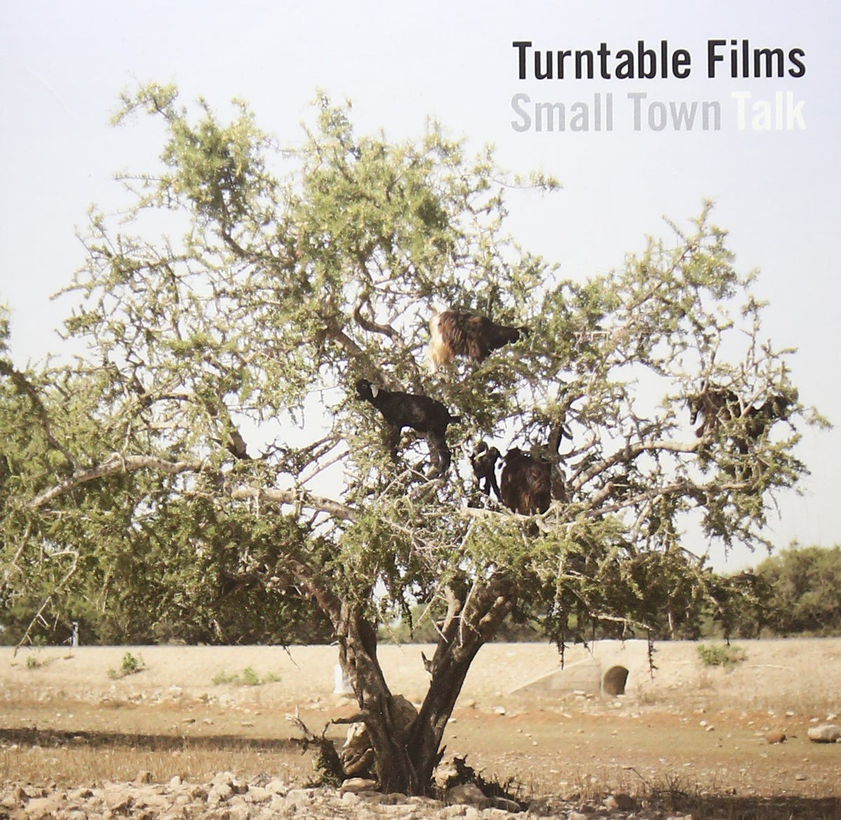 Turntable Films - Small Town Talk [Japan CD] ODCP-11