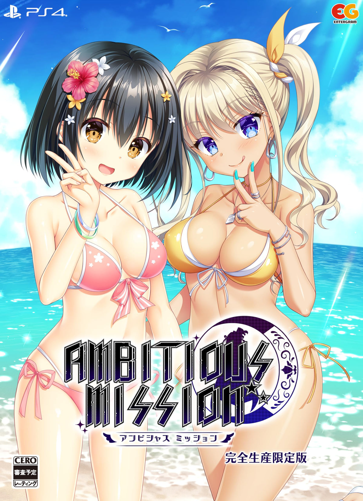 Ambitious Mission [Limited Edition]