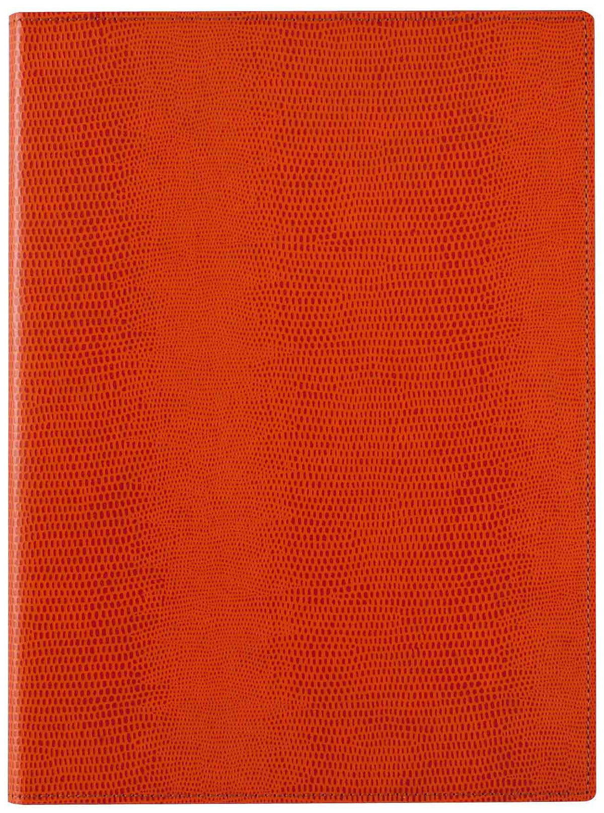 レイメイ藤井 Raymay Fujii ZVP233D Zite Vector Notepad, B5, Orange