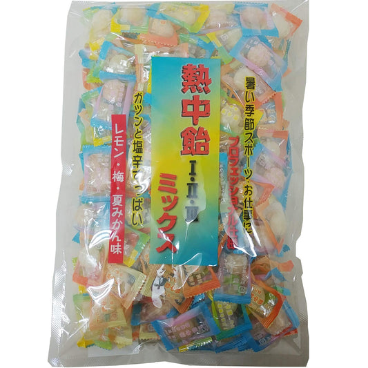 Iseki of food ginger input plum throat candy 1kg