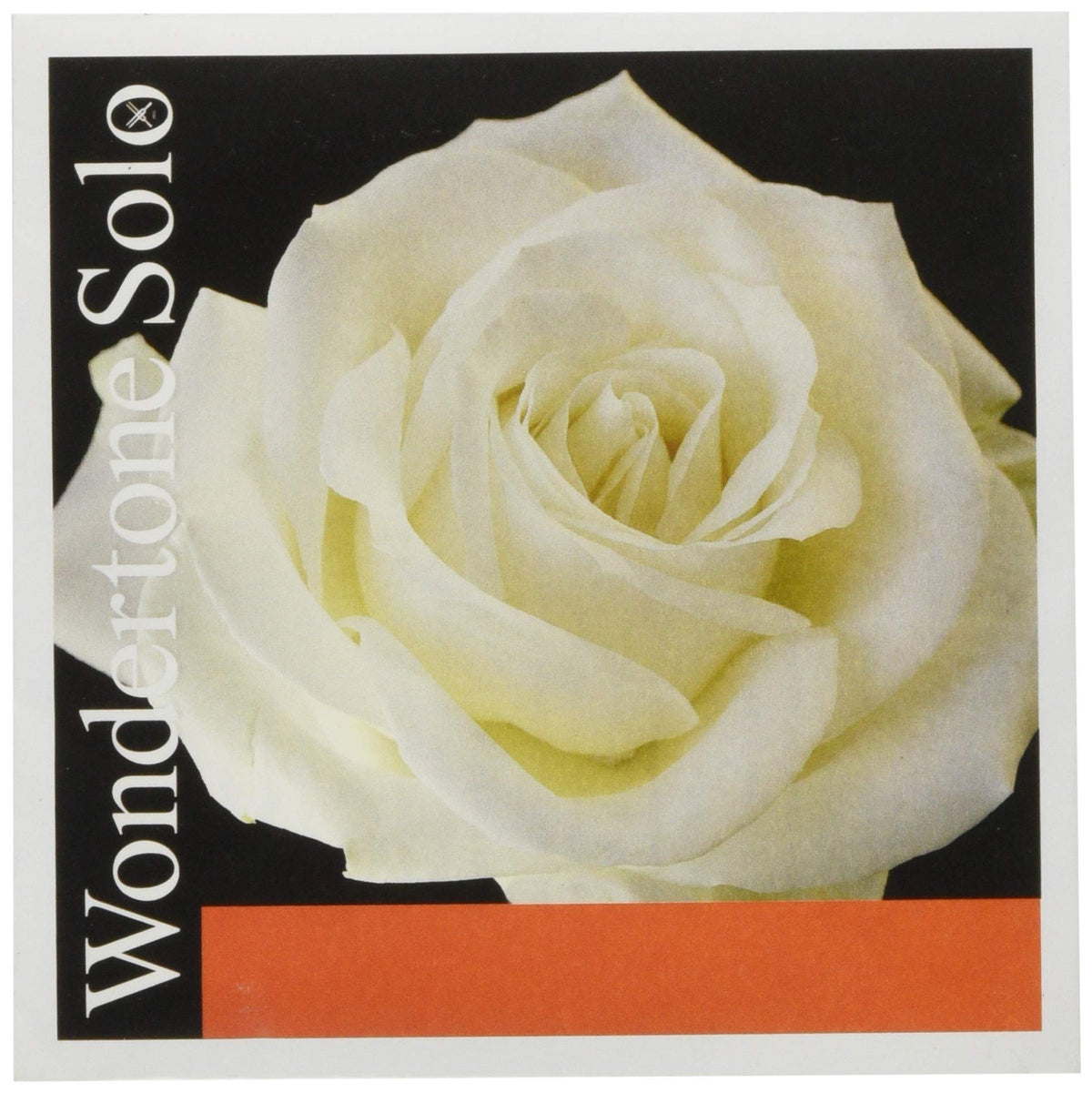 PIRASTRO Wondertone Solo 4102 Violin Strings A-Wire 4/4 Synthetic/Aluminum Wound
