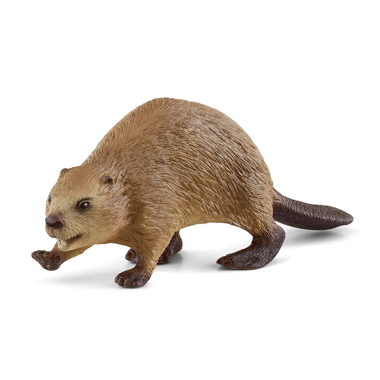 Schleich Wild Life - Beaver Toy Figurine - Kids Ages 3+ 14855