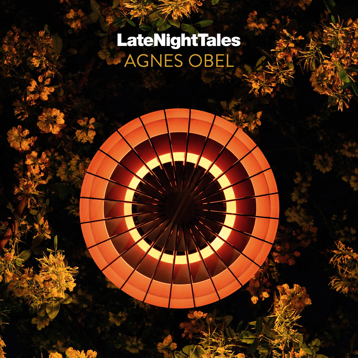 Late Night Tales : Agnes Obel [Imported Analog Board / DL Cord Included / 2LP] (ALNLP49)_566 [Analog]