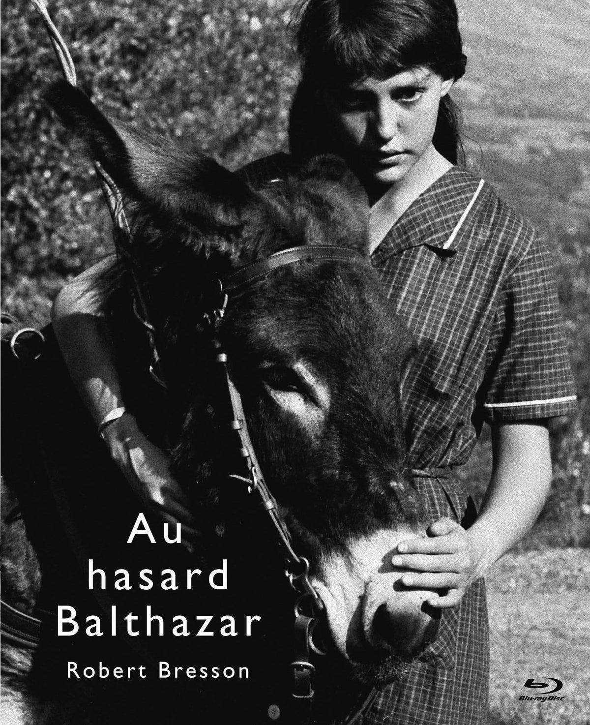 Balthazar Where You Go Robelle Blesson, Blu-ray