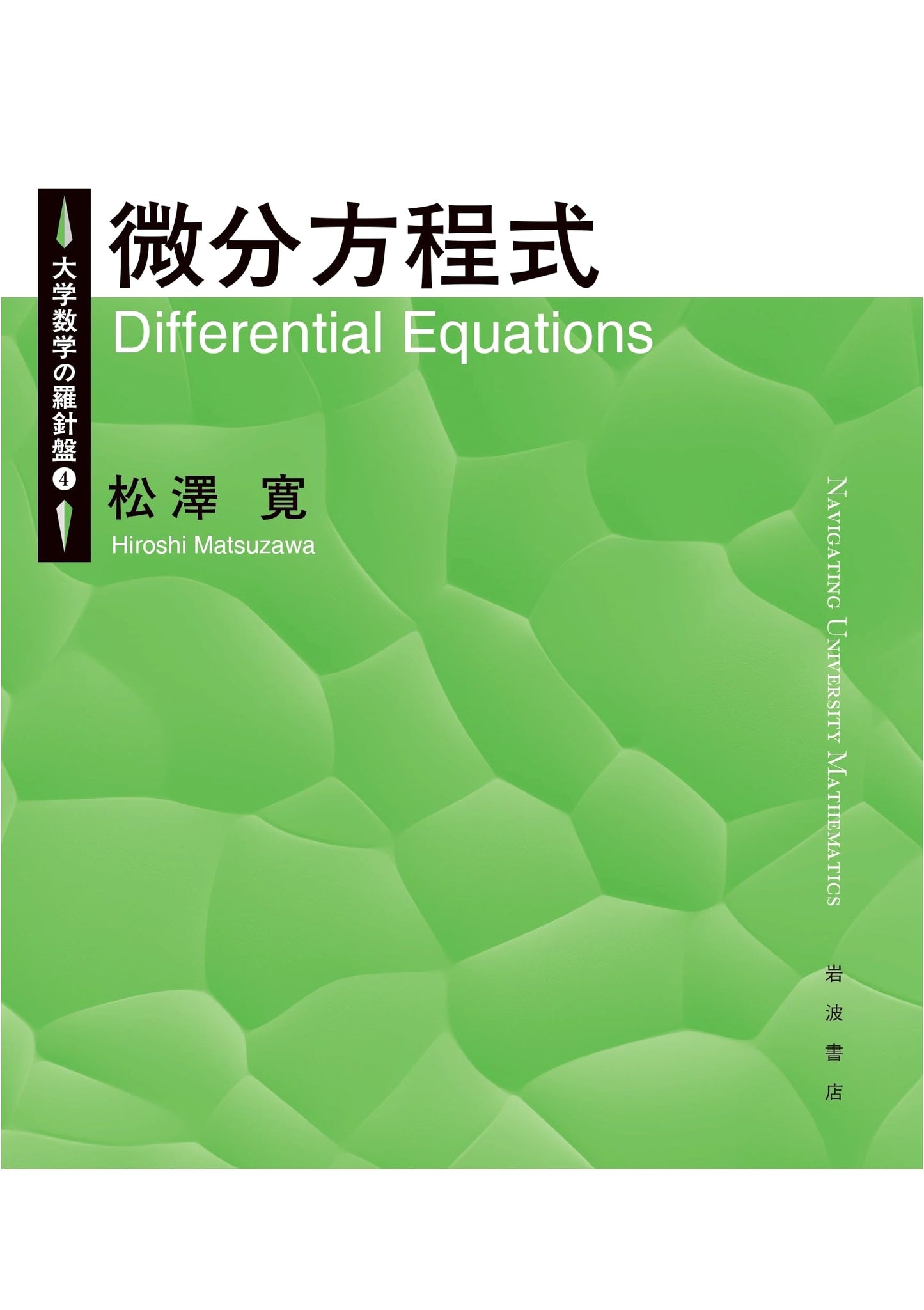 Differential Equations: A University Mathematics Compass by Hiroshi Matsuzawa
