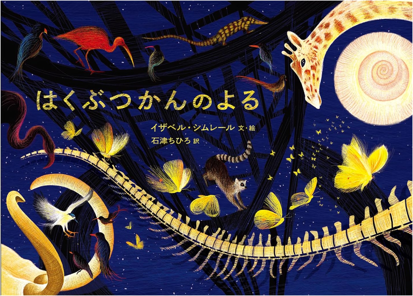 A Night at the Museum by Isabelle Simler