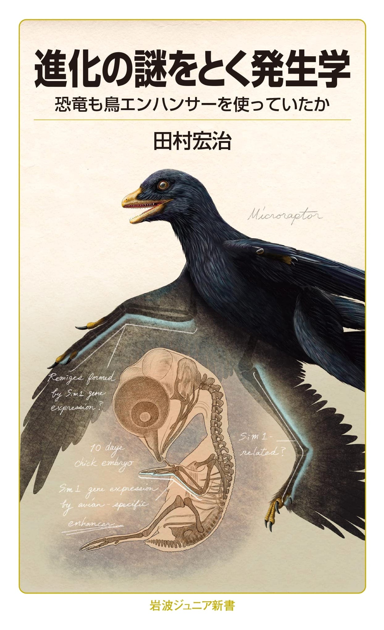 Developmental Biology Unravels Evolution's Mysteries: Did Dinosaurs Use Bird Enhancers?