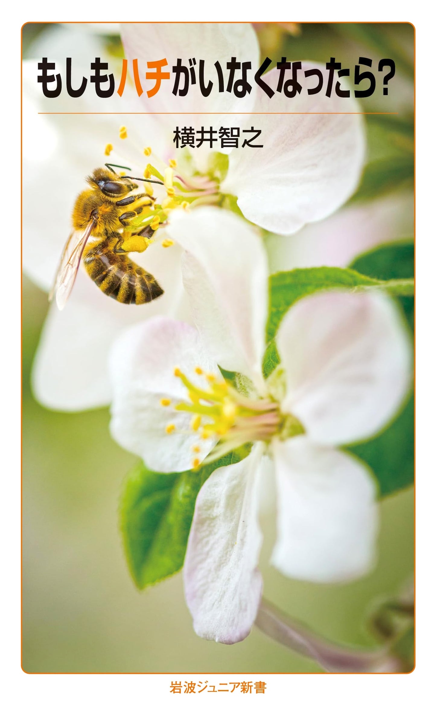 What If Bees Disappeared? (Iwanami Junior New Book 997)