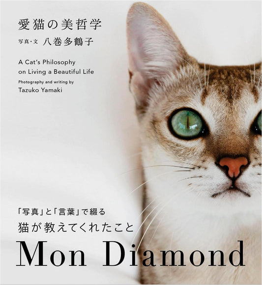The Aesthetics of My Beloved Cat: Mon Diamond