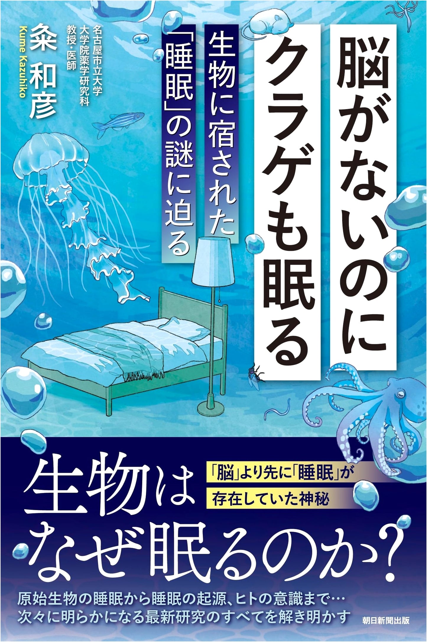 Jellyfish Sleep Without Brains: Unraveling the Mystery of Sleep in Living Organisms