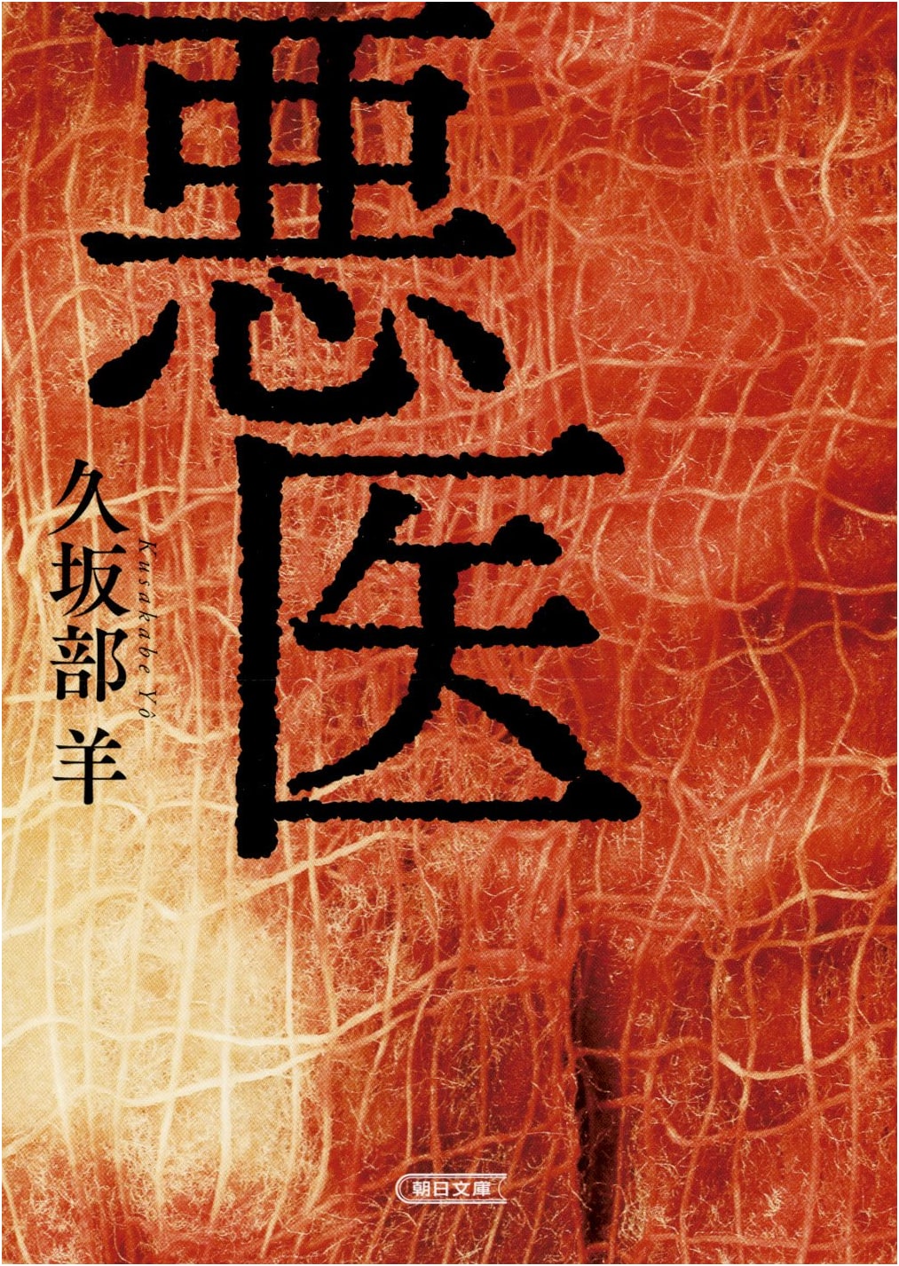 The Rogue Doctor by Yo Kusakabe
