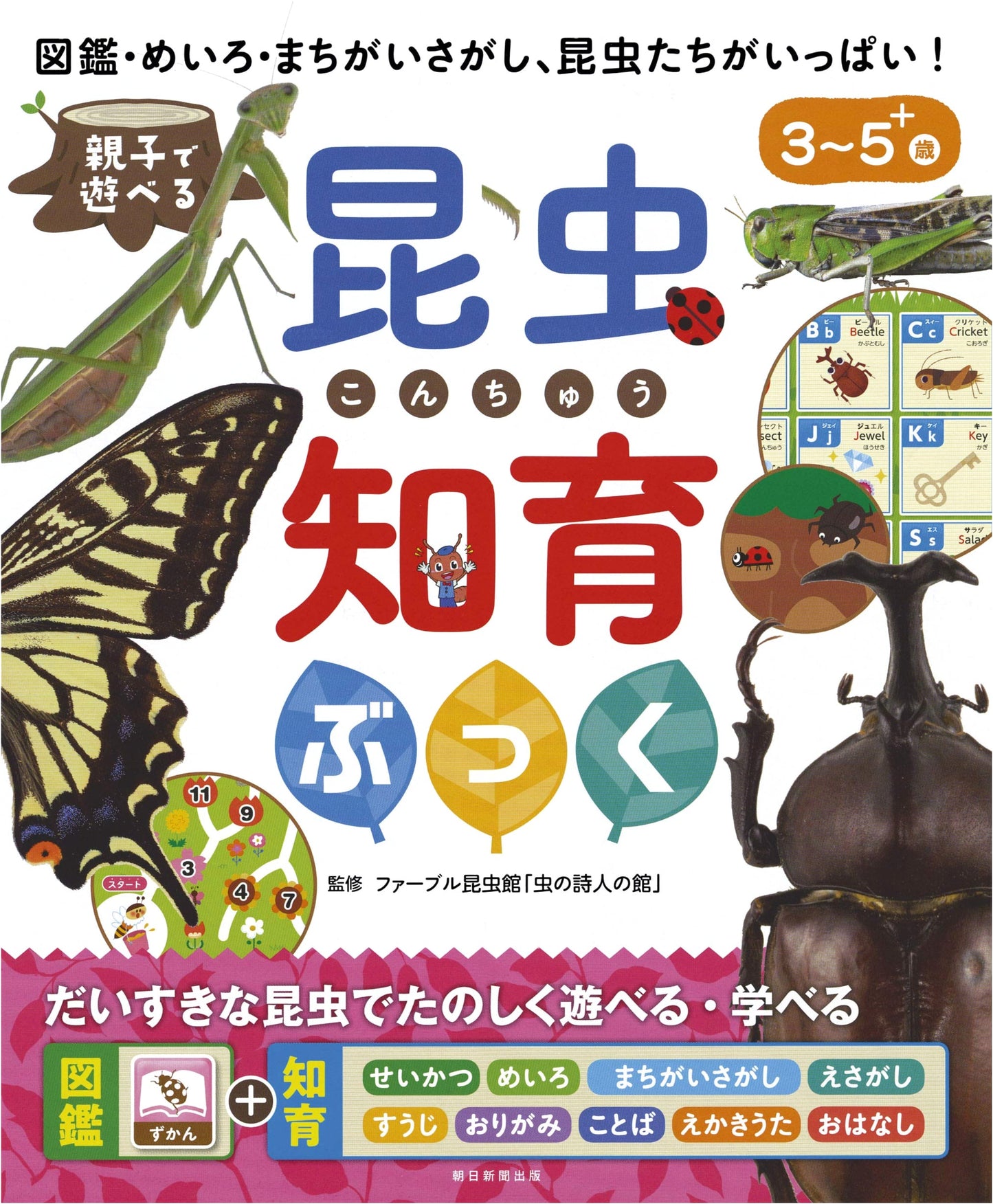 Insect Educational Book for Parents and Children (Educational Book Series)