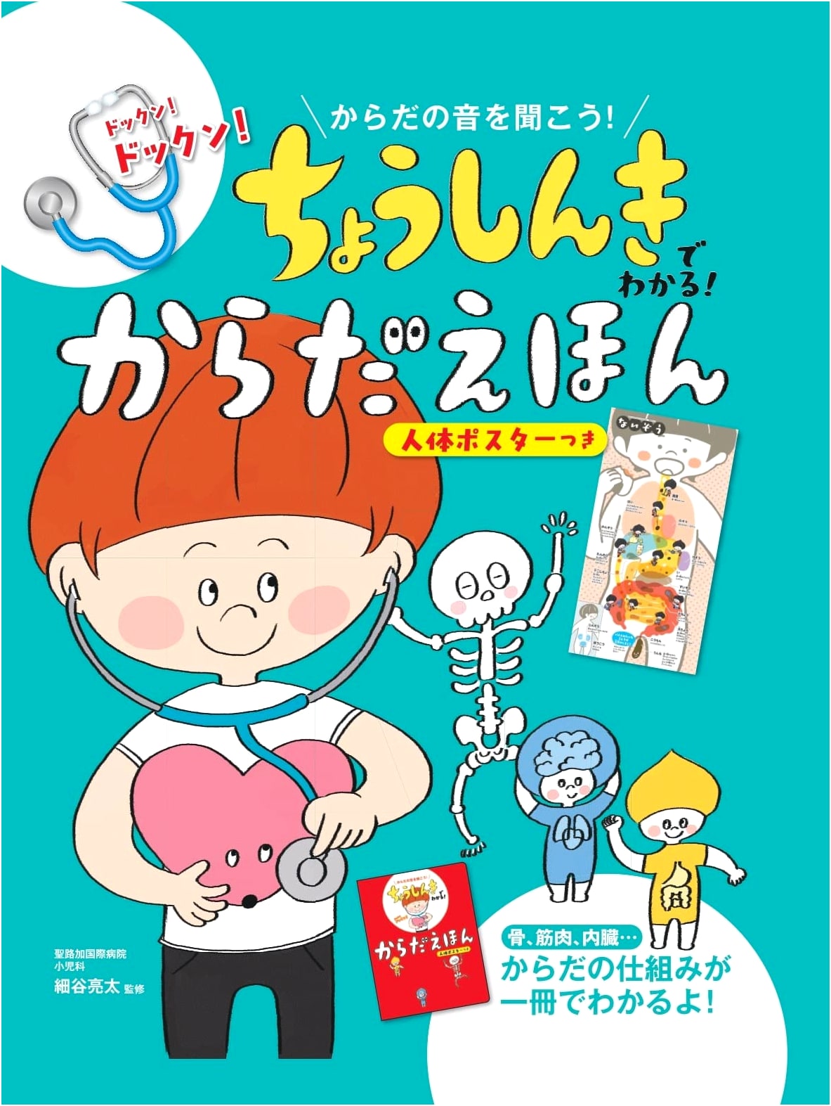 Understand Your Body with a Stethoscope! A Picture Book with a Human Body Poster