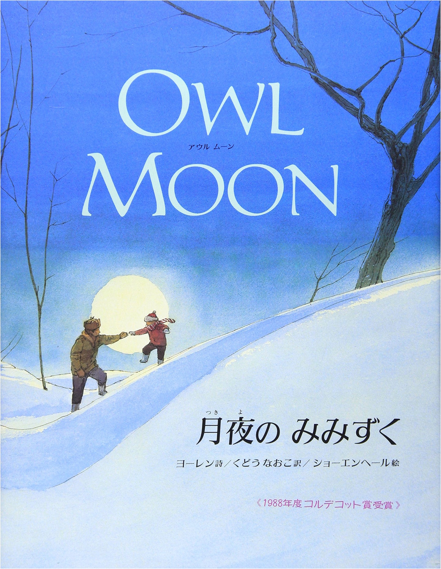 Owl of the Moonlight Night