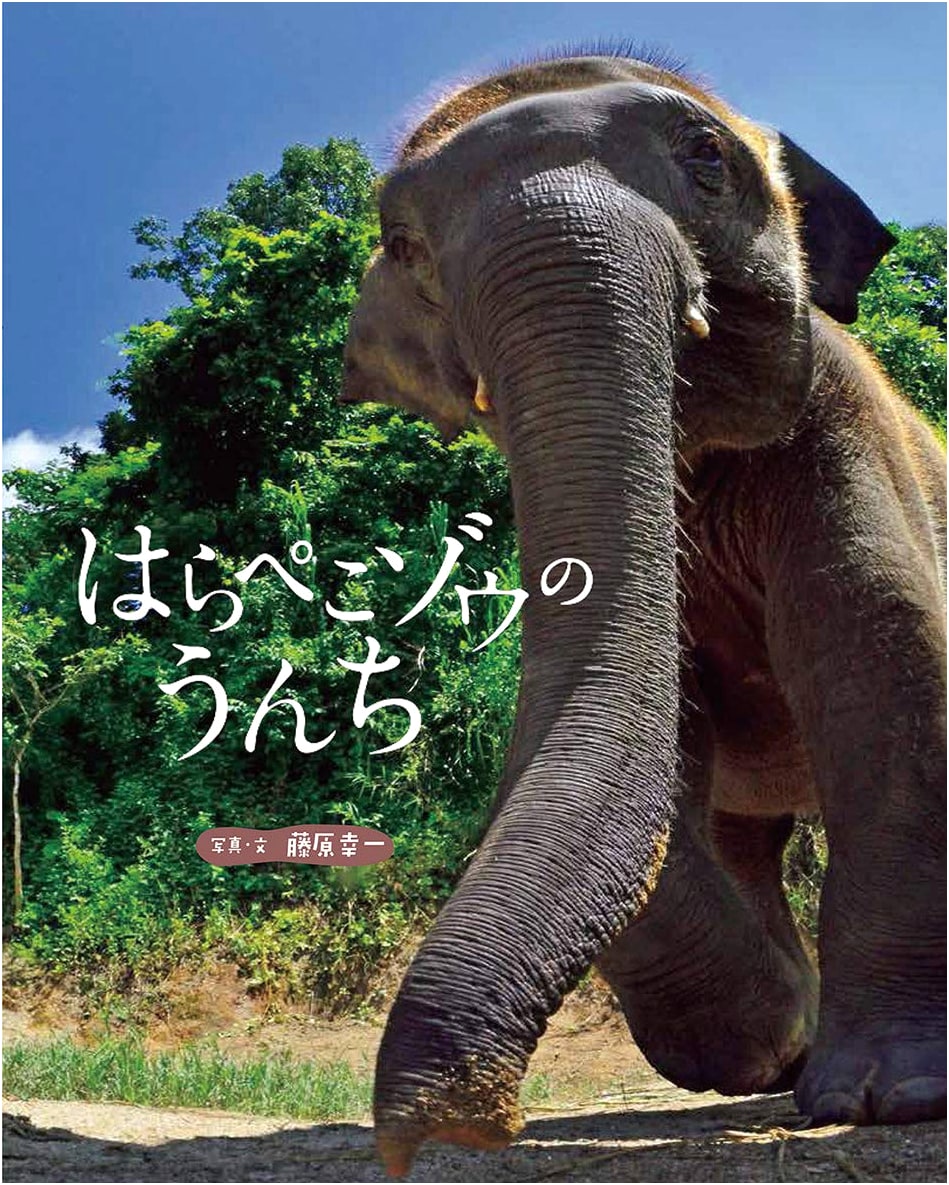 The Hungry Elephant's Poop