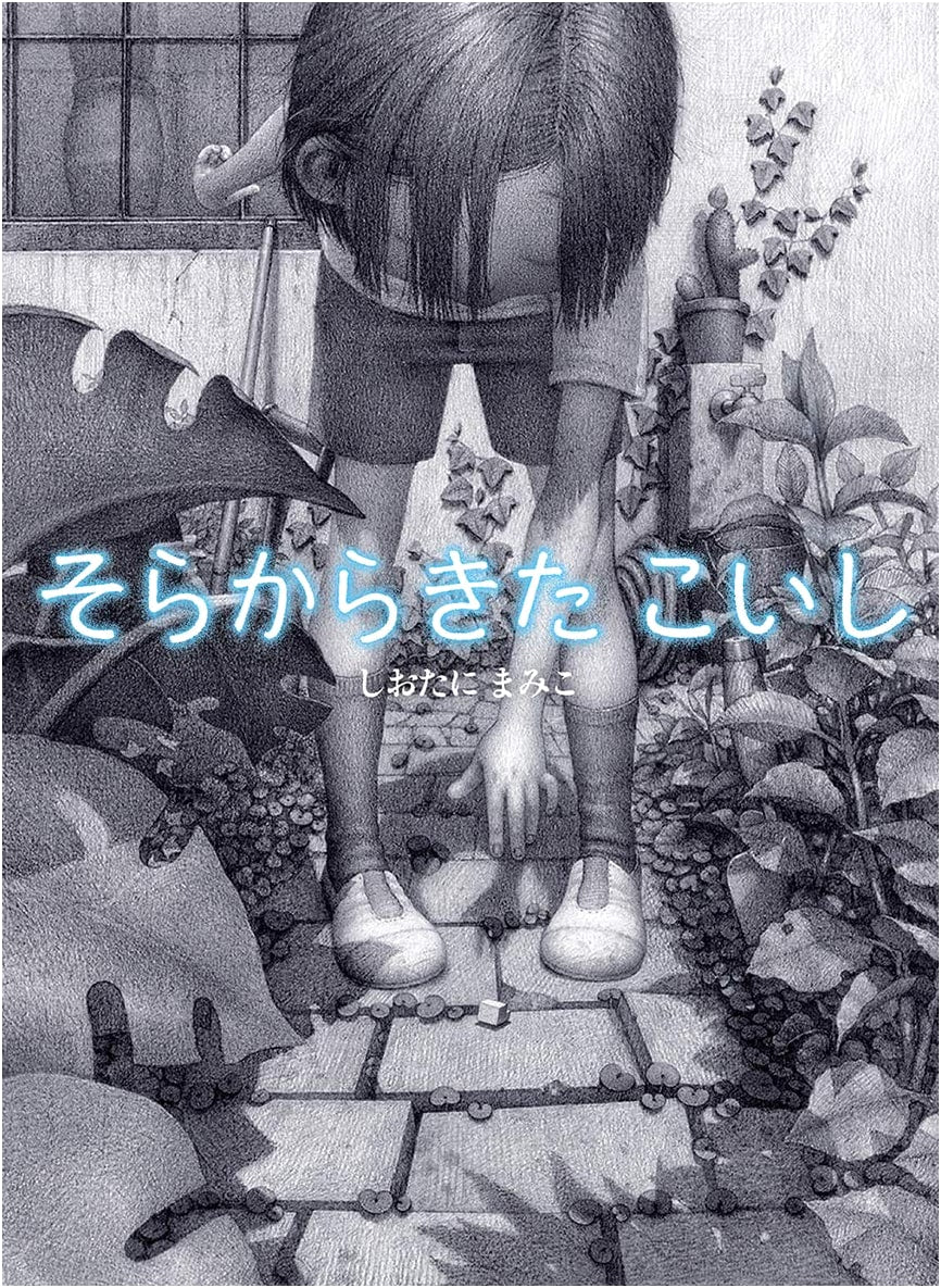 The Pebble That Came from the Sky