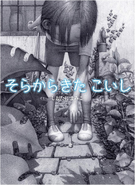 The Pebble That Came from the Sky